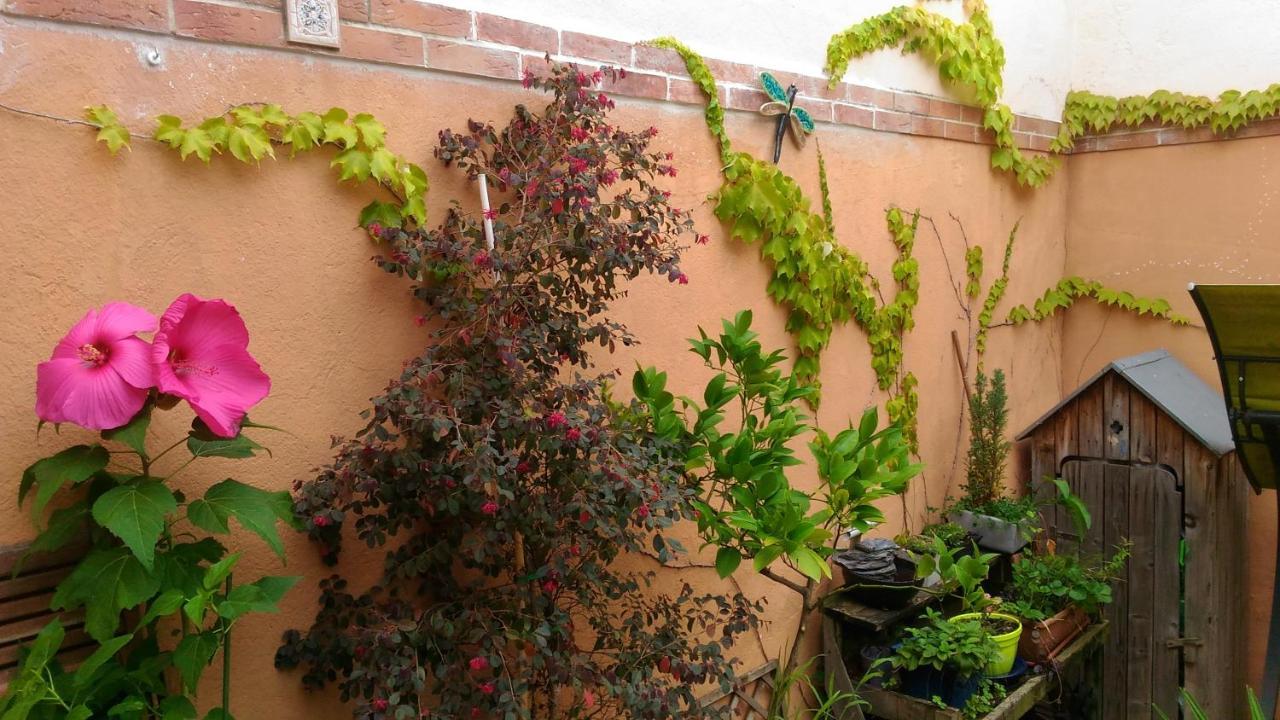 Bed and Breakfast Autan Des Couleurs Albi Esterno foto